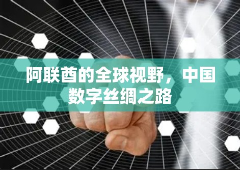 阿联酋的全球视野，中国数字丝绸之路