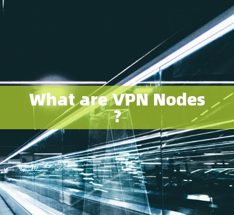 What are VPN Nodes?