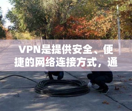 VPN是提供安全、便捷的网络连接方式，通常用于家庭、企业或其他需要访问互联网的场景。以下是几种常见的VPN家庭网络工具及其使用方法