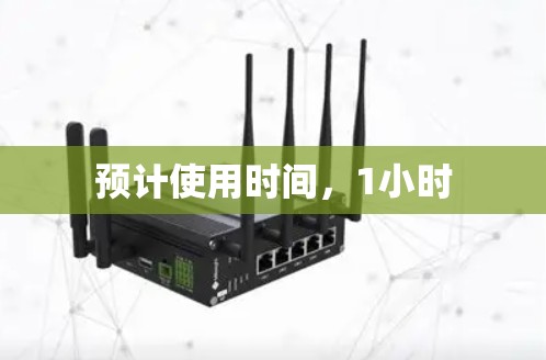 预计使用时间，1小时