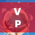 VPN加拿大线路是允许用户通过网络访问远程服务器的网络服务，提供了多种方式满足不同的使用需求。以下是详细介绍