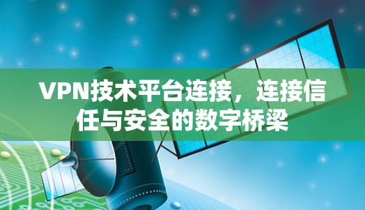 VPN技术平台连接，连接信任与安全的数字桥梁