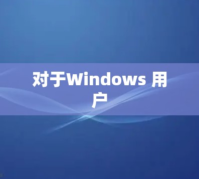 对于Windows 用户