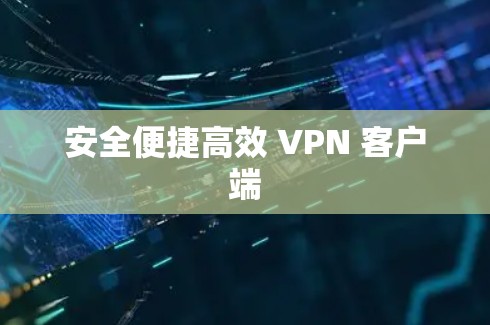 安全便捷高效 VPN 客户端