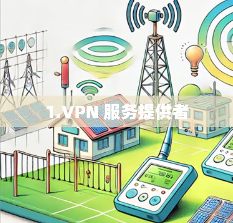 1.VPN 服务提供者