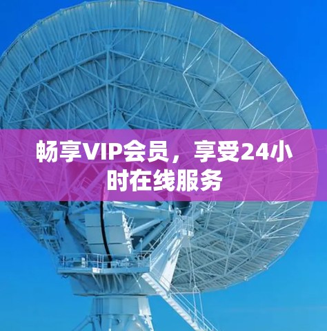 畅享VIP会员，享受24小时在线服务