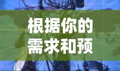 根据你的需求和预算,以下是对VPN软件的推荐,涵盖不同场景和需求