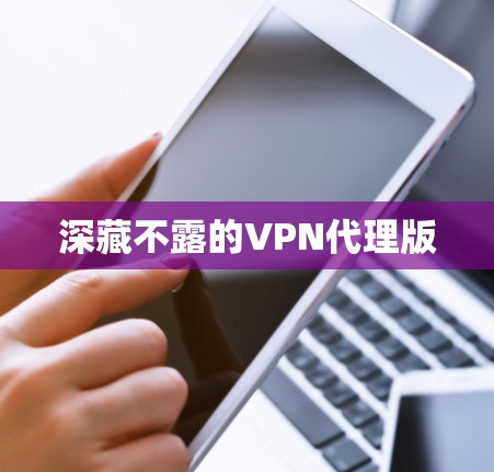 深藏不露的VPN代理版