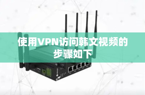 使用VPN访问韩文视频的步骤如下
