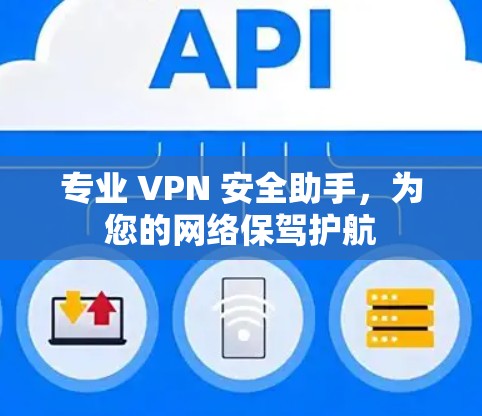 专业 VPN 安全助手，为您的网络保驾护航
