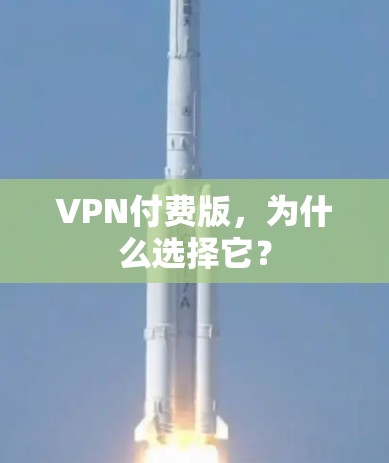 VPN付费版,为什么选择它?