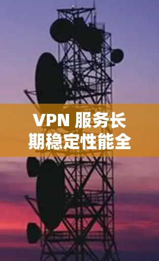 VPN 服务长期稳定性能全面