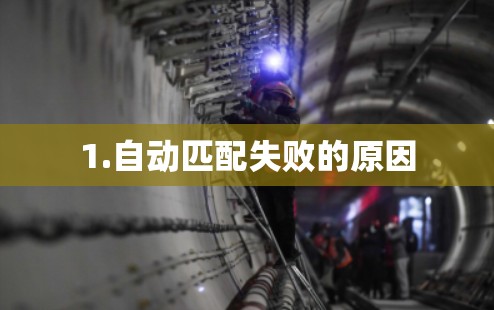 1.自动匹配失败的原因