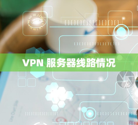 VPN 服务器线路情况