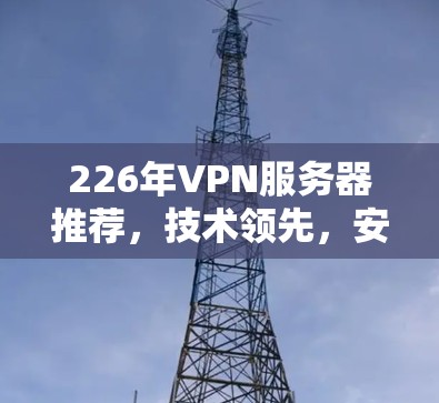 226年VPN服务器推荐,技术领先,安全可靠