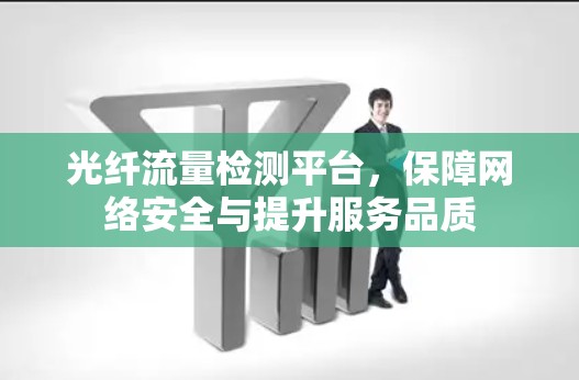 光纤流量检测平台,保障网络安全与提升服务品质