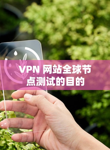 VPN 网站全球节点测试的目的
