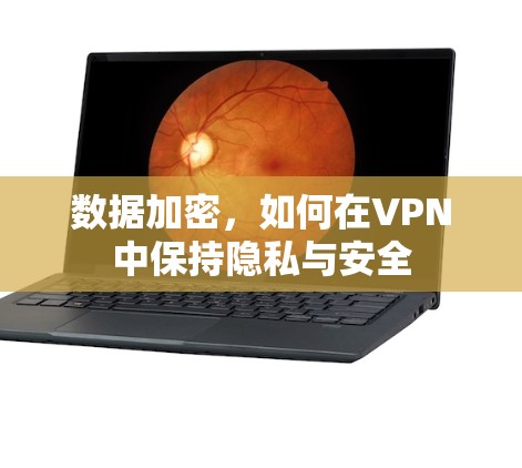数据加密，如何在VPN中保持隐私与安全