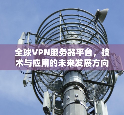 全球VPN服务器平台,技术与应用的未来发展方向