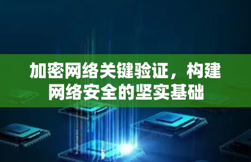 加密网络关键验证，构建网络安全的坚实基础