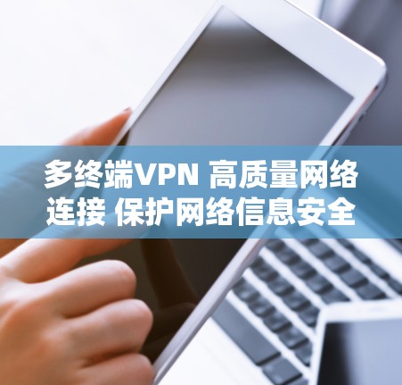 多终端VPN 高质量网络连接 保护网络信息安全