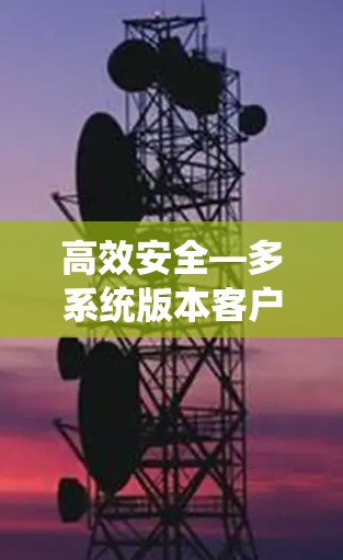 高效安全—多系统版本客户端