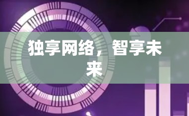 独享网络,智享未来