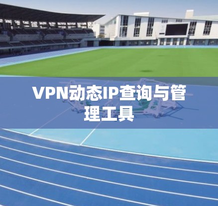 VPN动态IP查询与管理工具