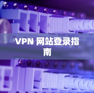 VPN 网站登录指南