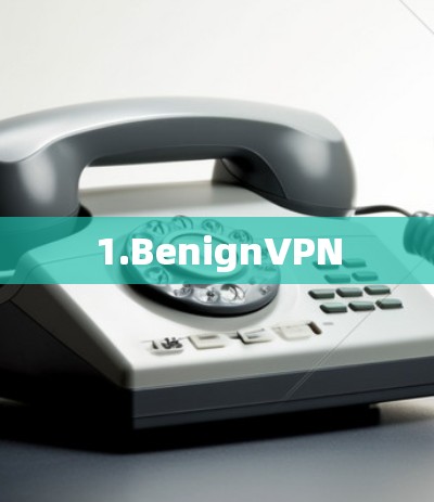 1.BenignVPN