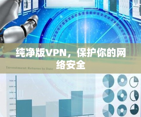 纯净版VPN,保护你的网络安全