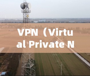 VPN（Virtual Private Network，VPN）是一种通过加密技术将外部网络与内部网络连接，以保护用户的数据和隐私。以下是对VPN的详细总结和建议