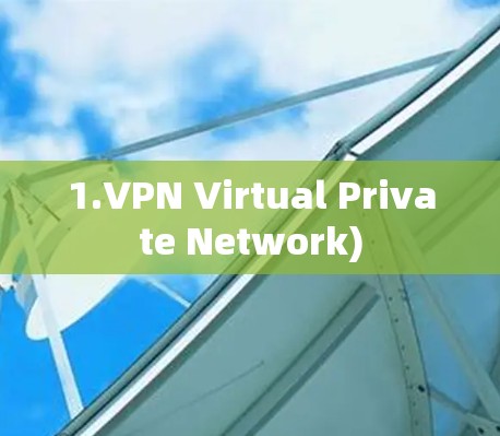1.VPN Virtual Private Network)