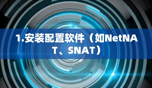 1.安装配置软件（如NetNAT、SNAT）