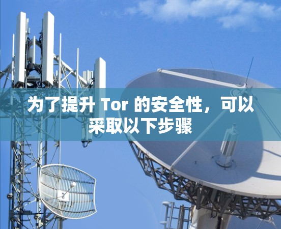 为了提升 Tor 的安全性,可以采取以下步骤