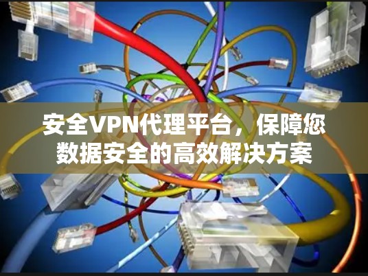 安全VPN代理平台，保障您数据安全的高效解决方案