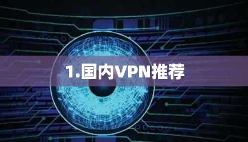 1.国内VPN推荐