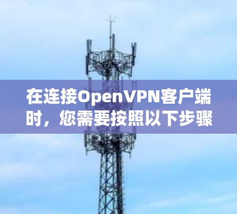 在连接OpenVPN客户端时,您需要按照以下步骤进行设置